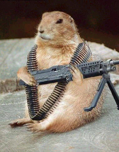 attackgopher.jpg